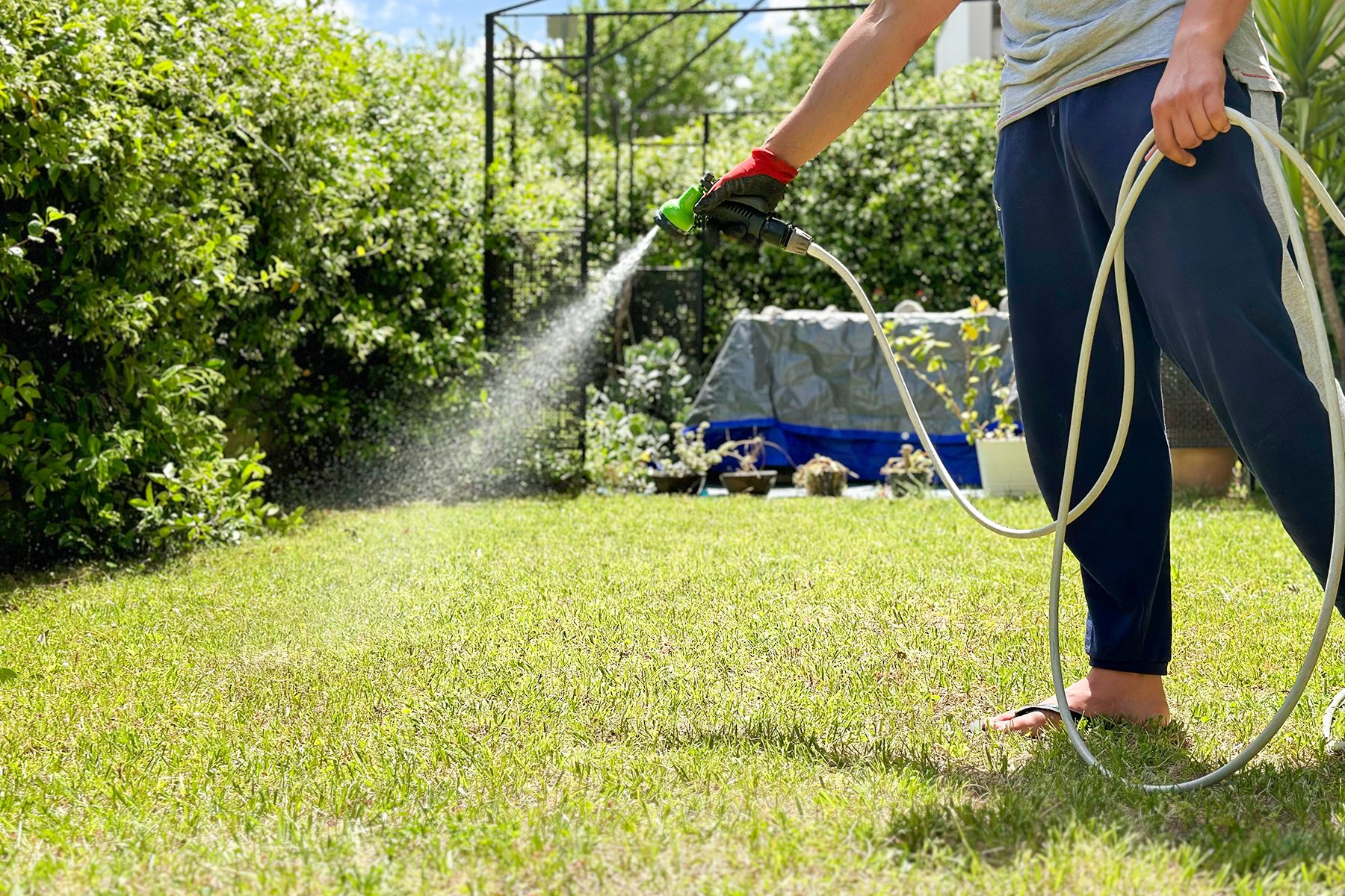 Bring New Grass Seed To Life With These Watering TIps