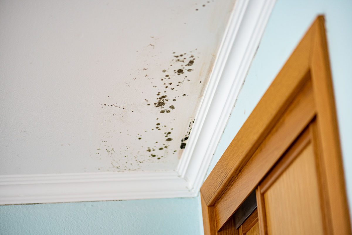 Mold Infested Ceiling In A Bedroom Gettyimages 1291944320