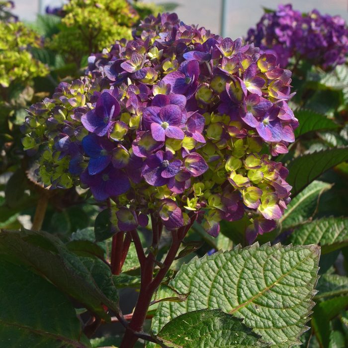 Seaside Serenade Via Ngb.org