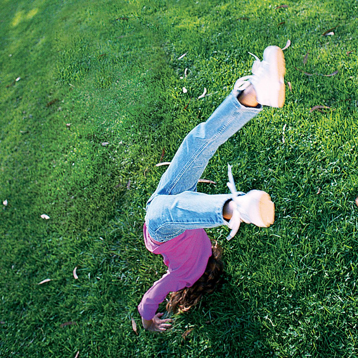 Tips For A Weed Free Yard