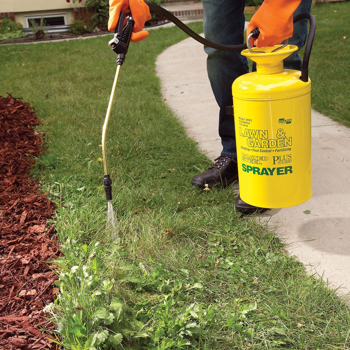 Tips For A Weed Free Yard