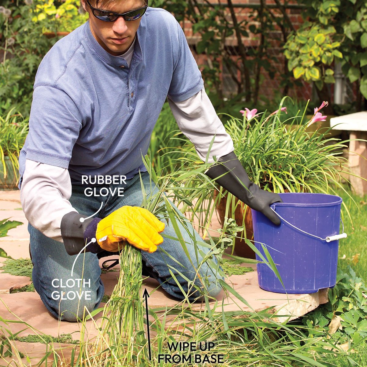 Tips For A Weed Free Yard