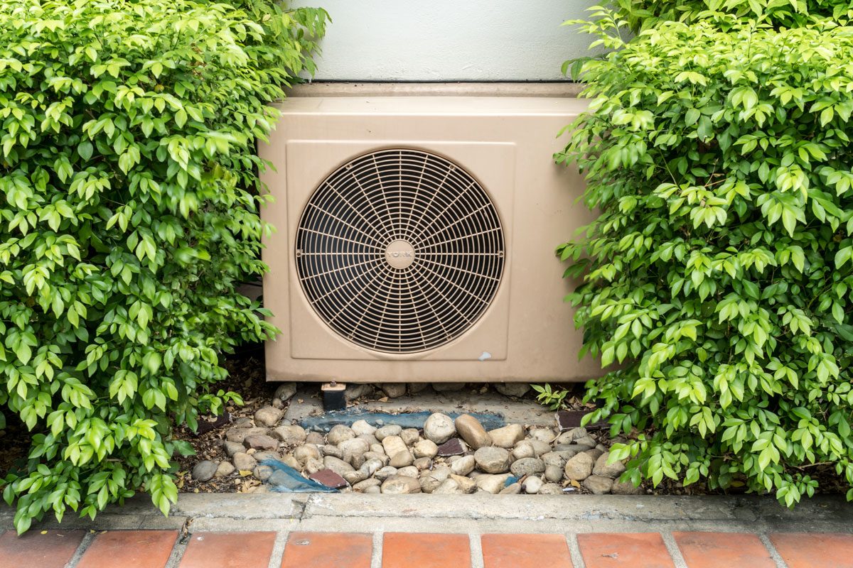 Air Condition Condenser Unit Between Green Leaves