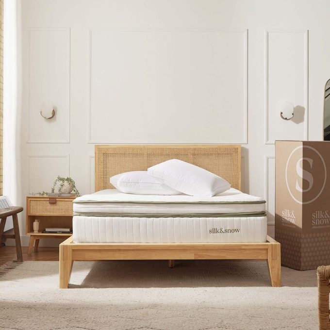 Organic Mattress Plush 1 20240304 A