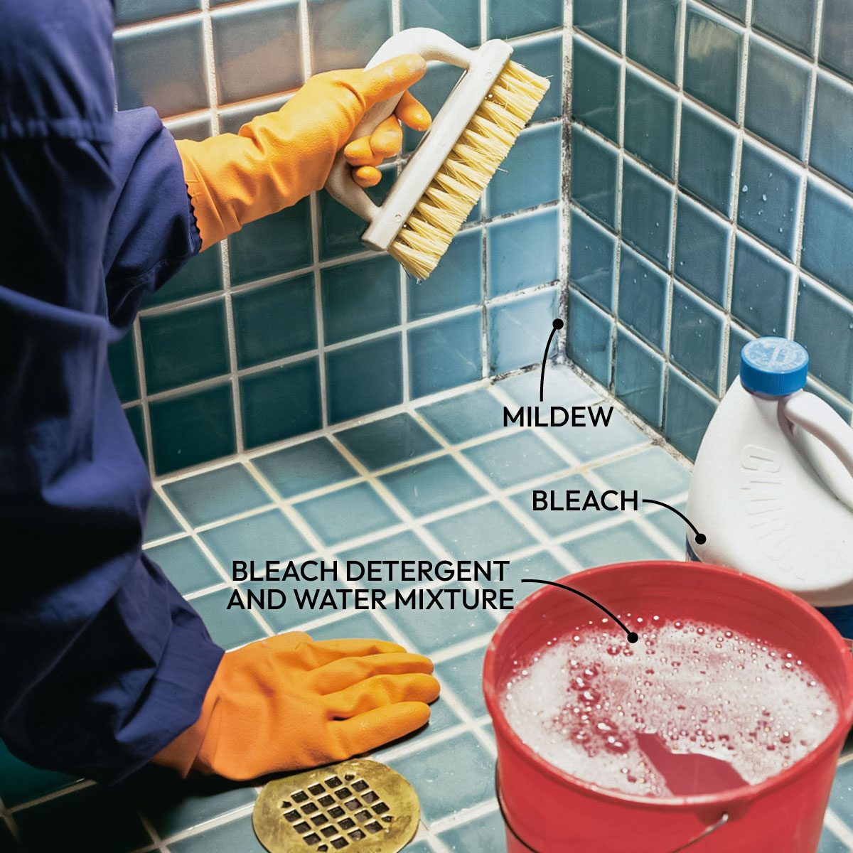 10 Tips For Removing Mold And Mildew 