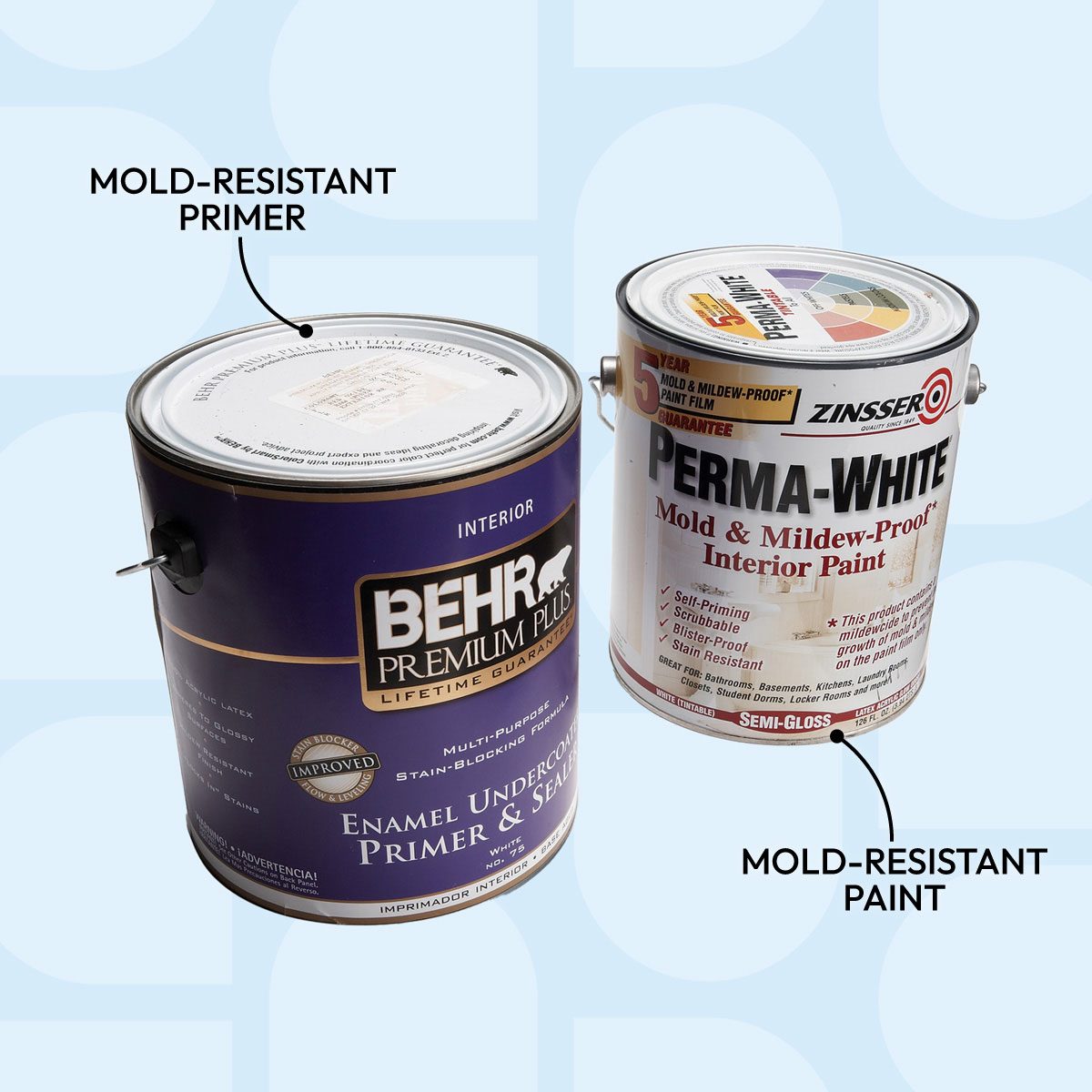 10 Tips For Removing Mold And Mildew 