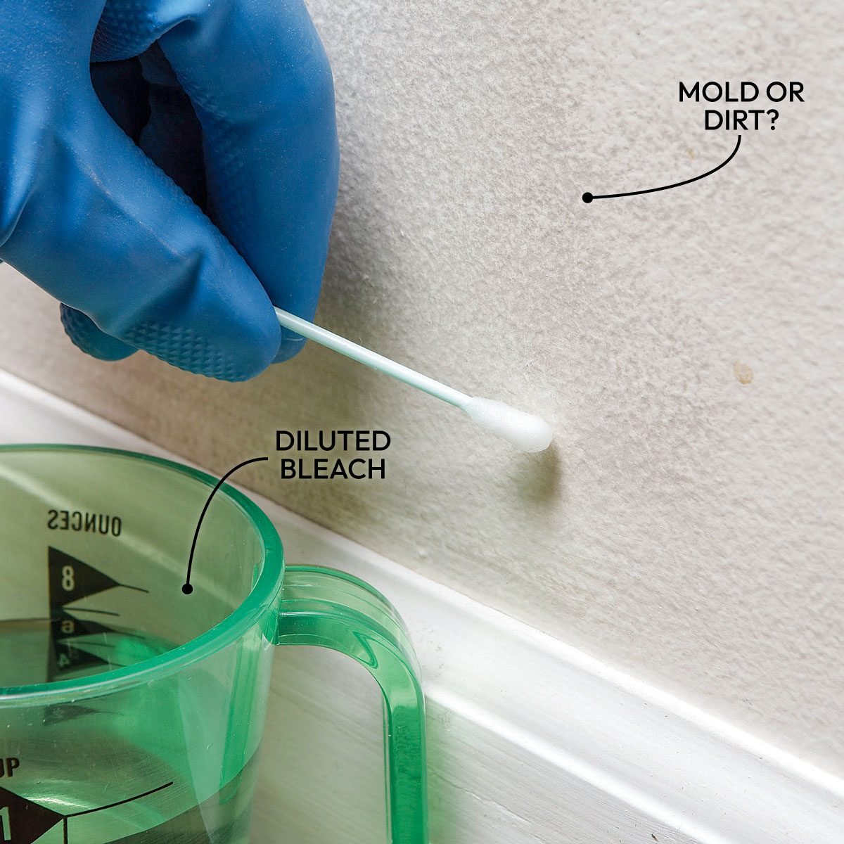 10 Tips For Removing Mold And Mildew