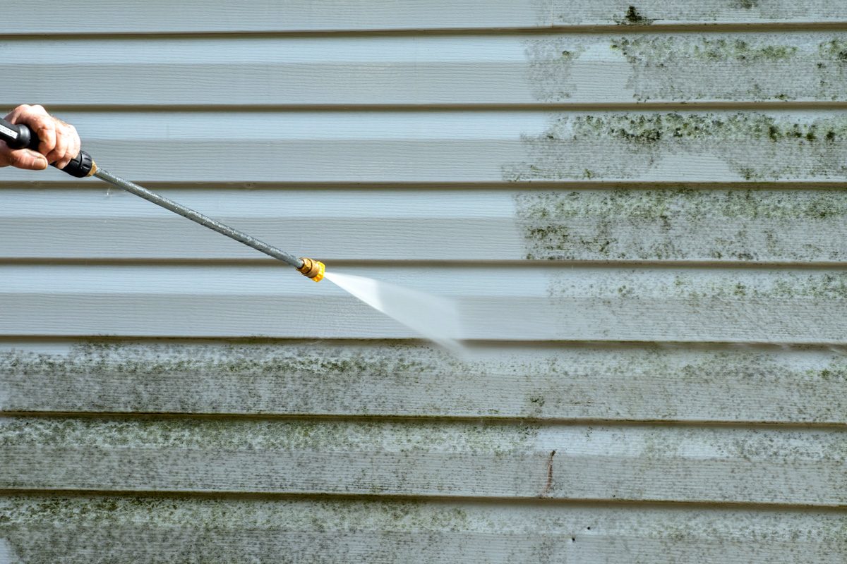 10 Tips For Removing Mold and Mildew Before It Becomes a Problem