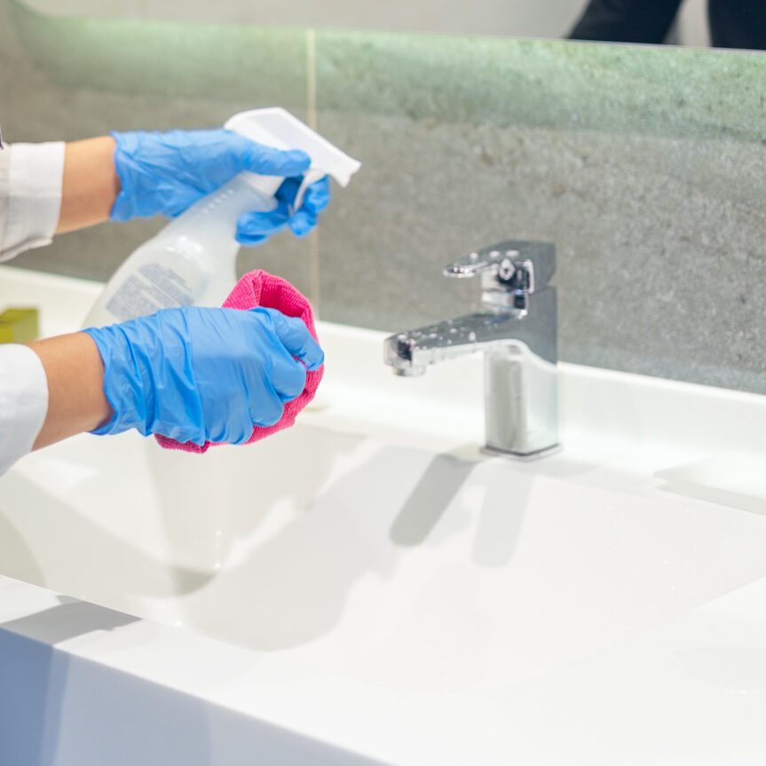 Cleaning Sink With Stain Remover