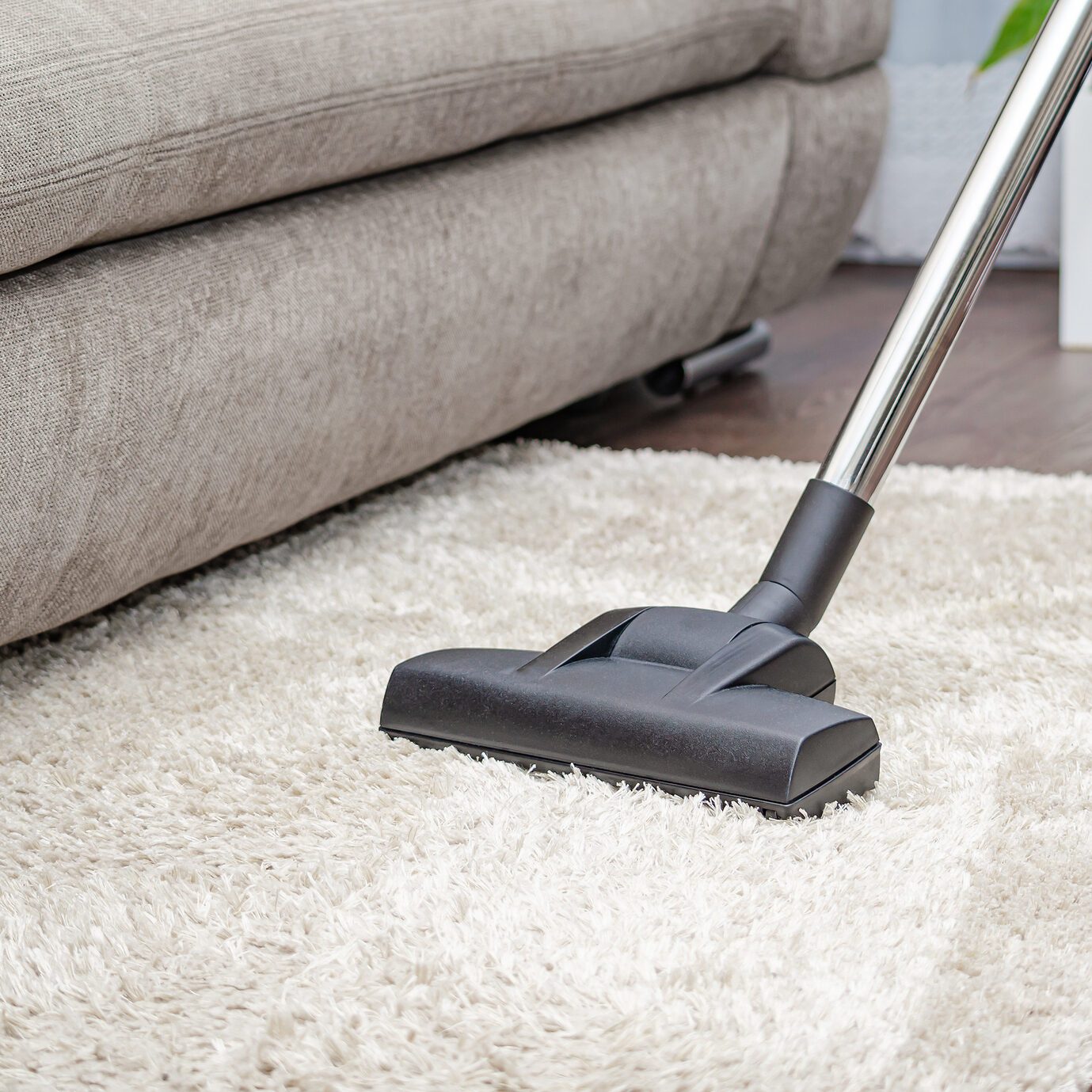 A woman vacuums a gray carpet with a vacuum cleaner. Cleaning and cleanliness concept