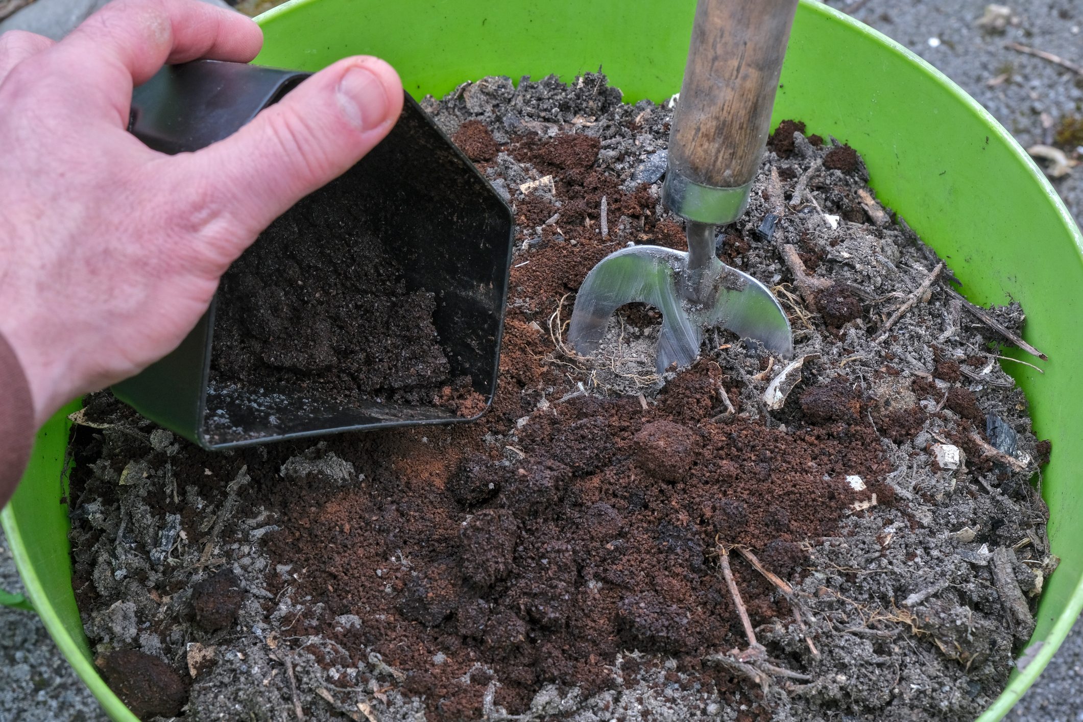 Coffee grounds poured into a flowerpot to prepare the soil for cultivation.
