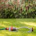 Here's How Much Water Your Grass Really Needs