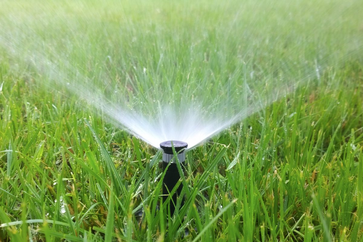 irrigation sprinkler in garden