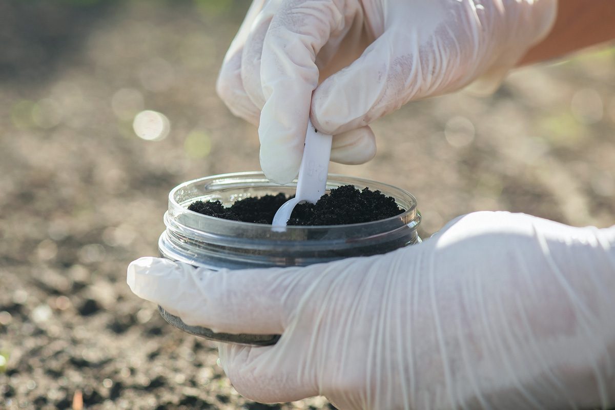 collecting soil sample for analysis