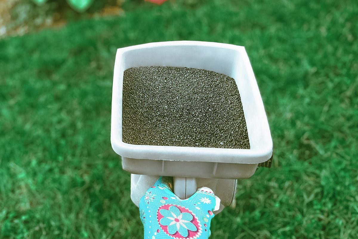 spreader filled with lawn fertilizer