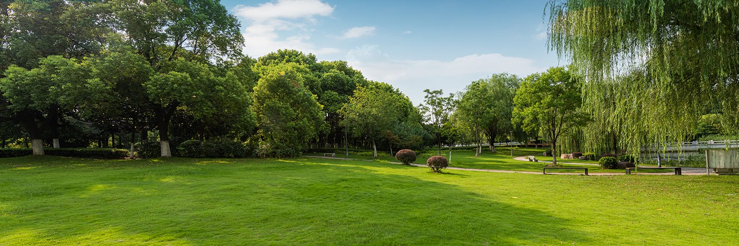 Outdoors, Green Lawns And Woods In City Park Under Clear Sky