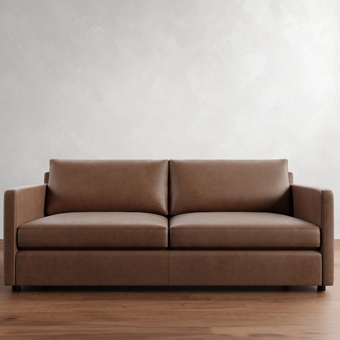 Pacifica Slim Arm Leather Sleeper Sofa