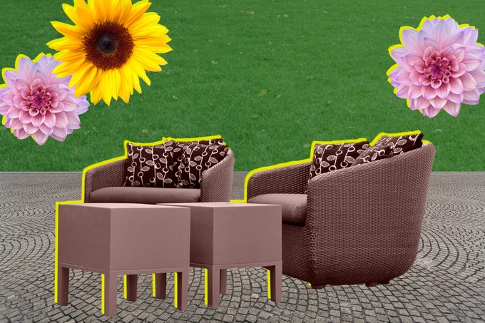 Turf Pro Share The Ins And Outs Of Making A Lawn The Envy Of The Block