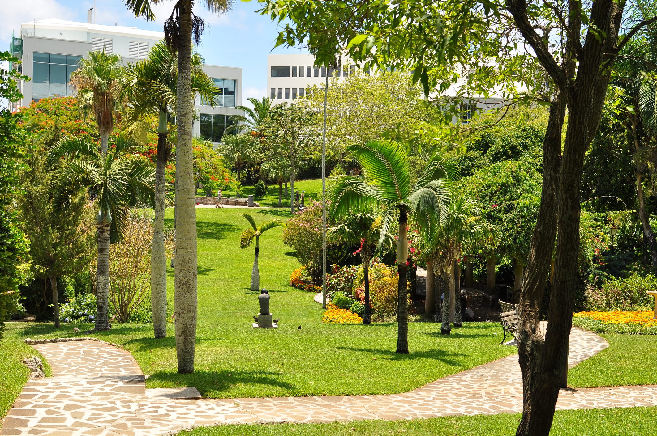 Subtropical park with bermudagrass