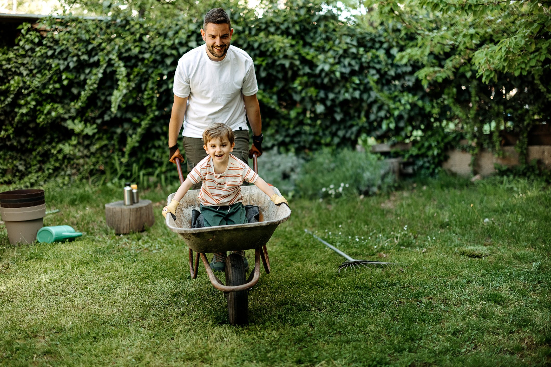 father pushing child in wheelbarrow on a grassy lawn