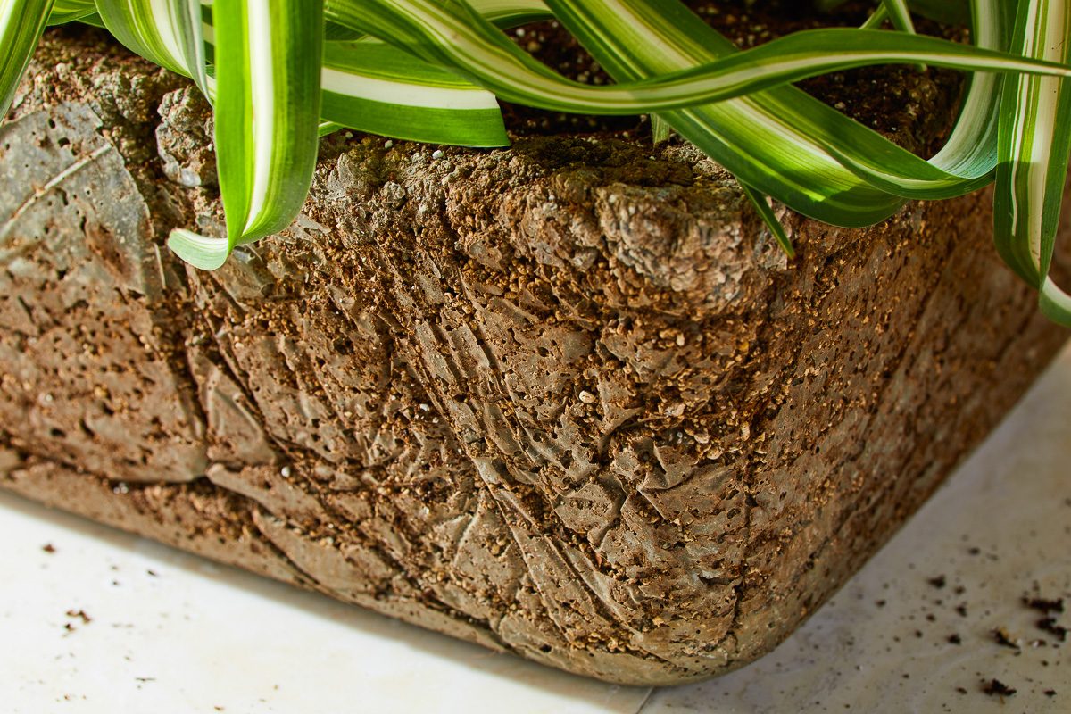 close up of Hypertufa Planter