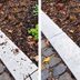 Mulch Glue Explained: What It Is and How It Works