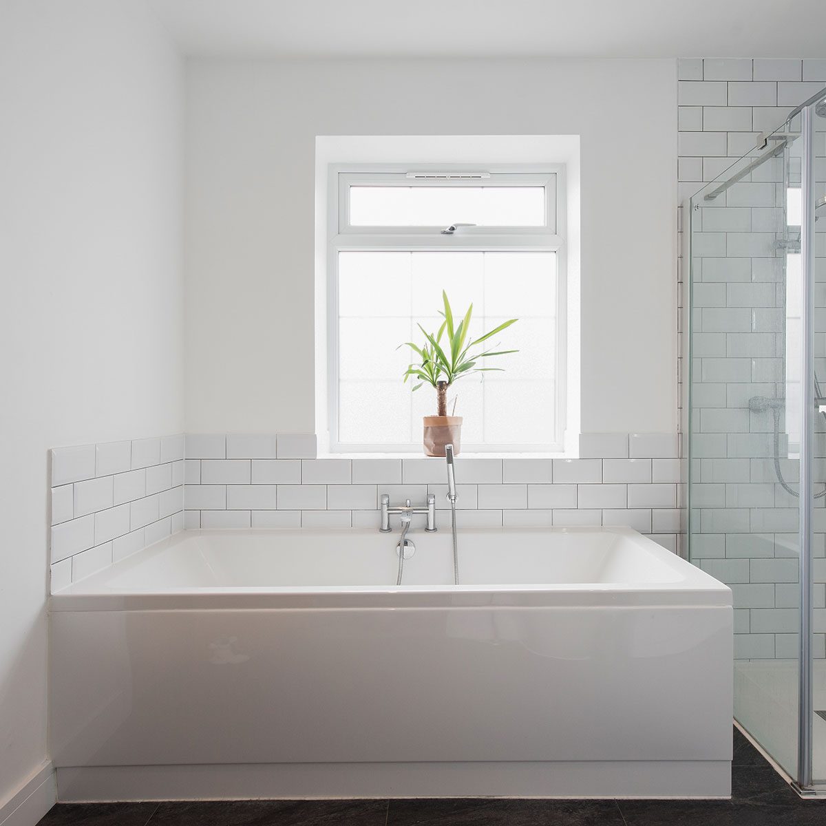 A general interior view of a white half rectangular tiled and painted bathroom, bathtub, glass shower cubicle, chrome taps and shower head, window and potted dragon tree plant