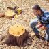 Tree Stump Removal Guide: How to Remove a Tree Stump Painlessly
