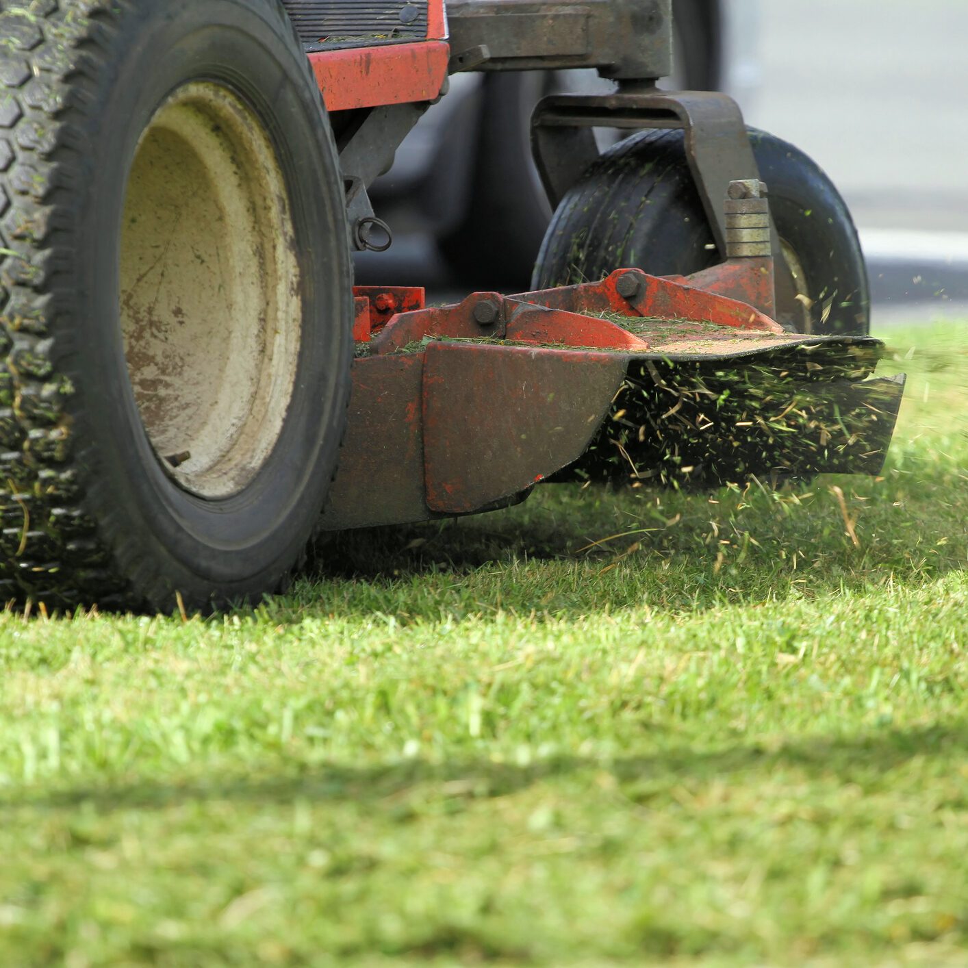Close-up of blade cutting grass