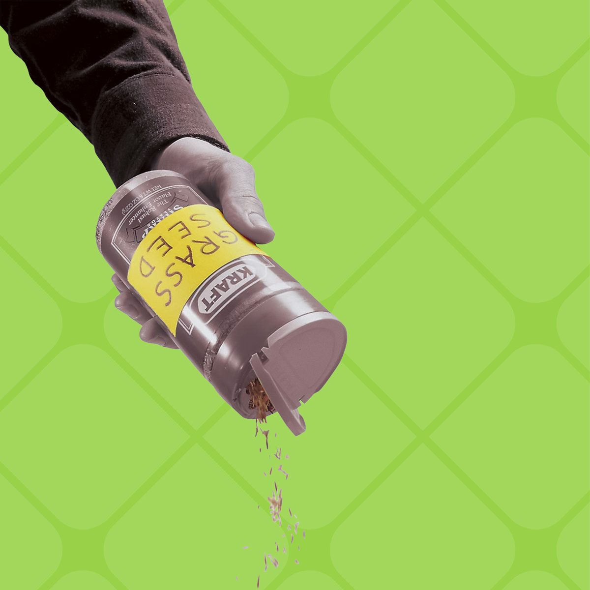 Sprinkle Grass Seed Like Grated Cheese