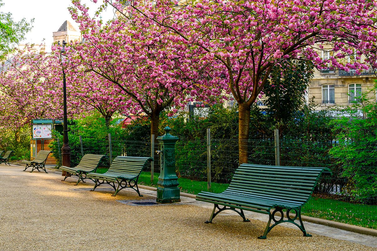Bench Seating Gettyimages 2213782143