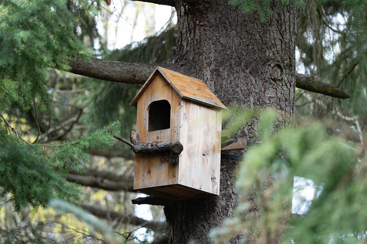 Bird House Or Bird Feeder Gettyimages 2211088324