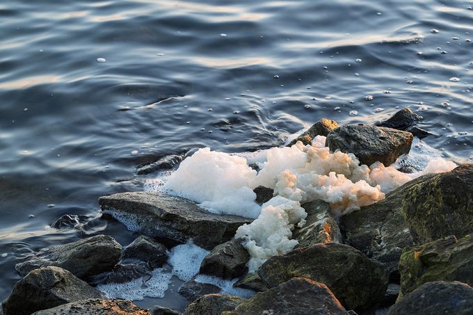 The foam is a result of algae decomposition and may be contaminated with PFAS