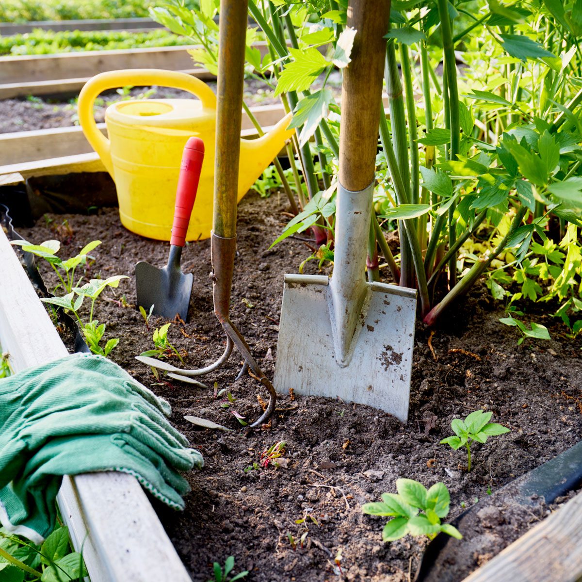 Gardening Equipment At A Raised Bed