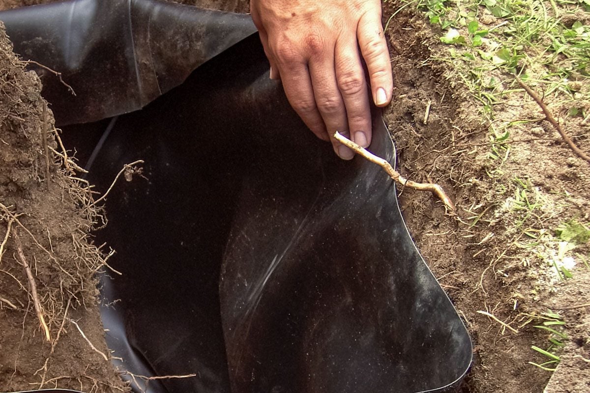 installing root barrier