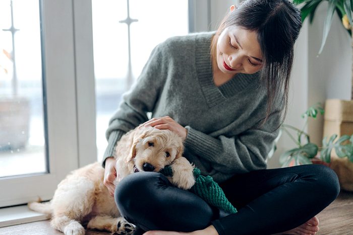 How To Prepare Your House For Adopting A Dog