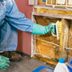 Mold Remediation: How to Remove Mold