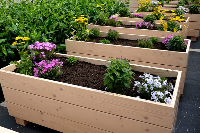 Planters Gettyimages 1396777203