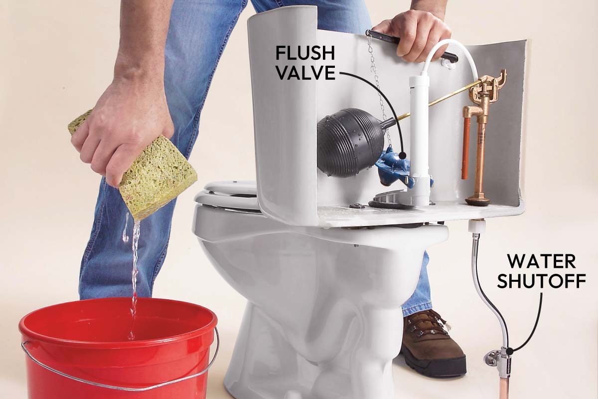 Toilet Parts What They Are And Common Fixes
