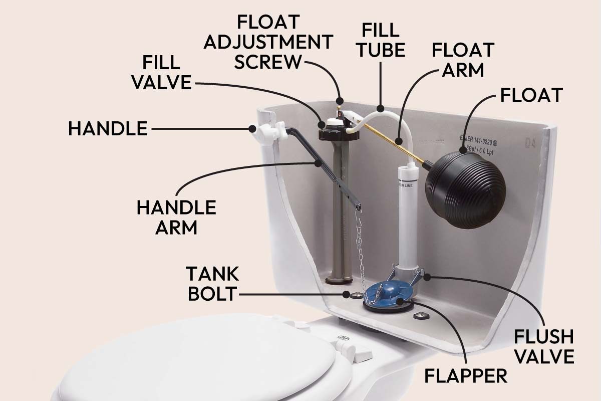 Toilet Parts What They Are And Common Fixes Fh05ja 459 53 031 Ai Callouts