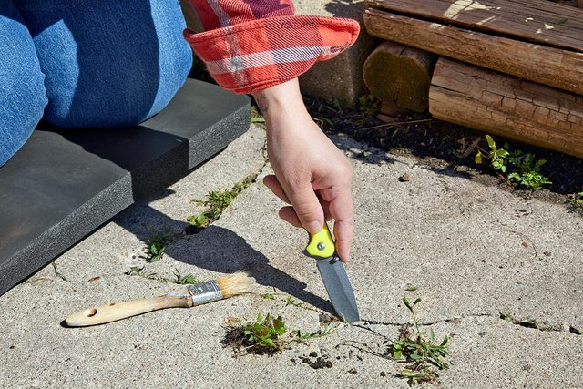 A person in a red plaid shirt uses a weeding tool to remove weeds from cracks in a concrete surface. A paintbrush lies nearby, and stacked wooden logs are visible in the background.