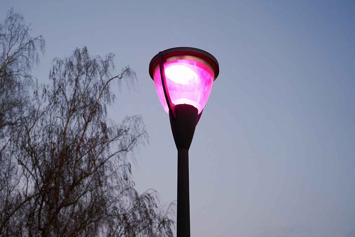 Why Are Some Street Lights Turning Purple? The Surprising Reason Explained