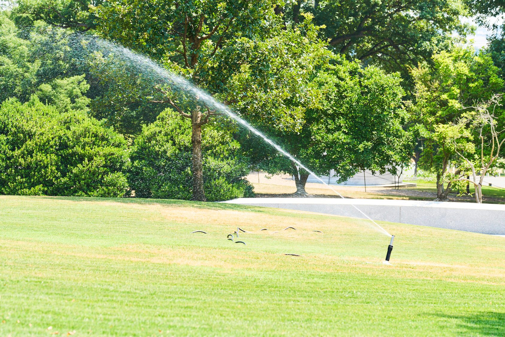 Sprinkler watering a green lawn in a park during summer
