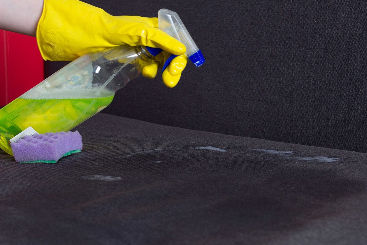 Girl In Yellow Gloves Cleans The Sofa