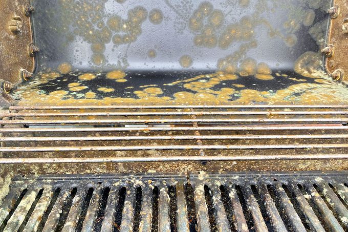 The Weird Green Stuff On My Grill