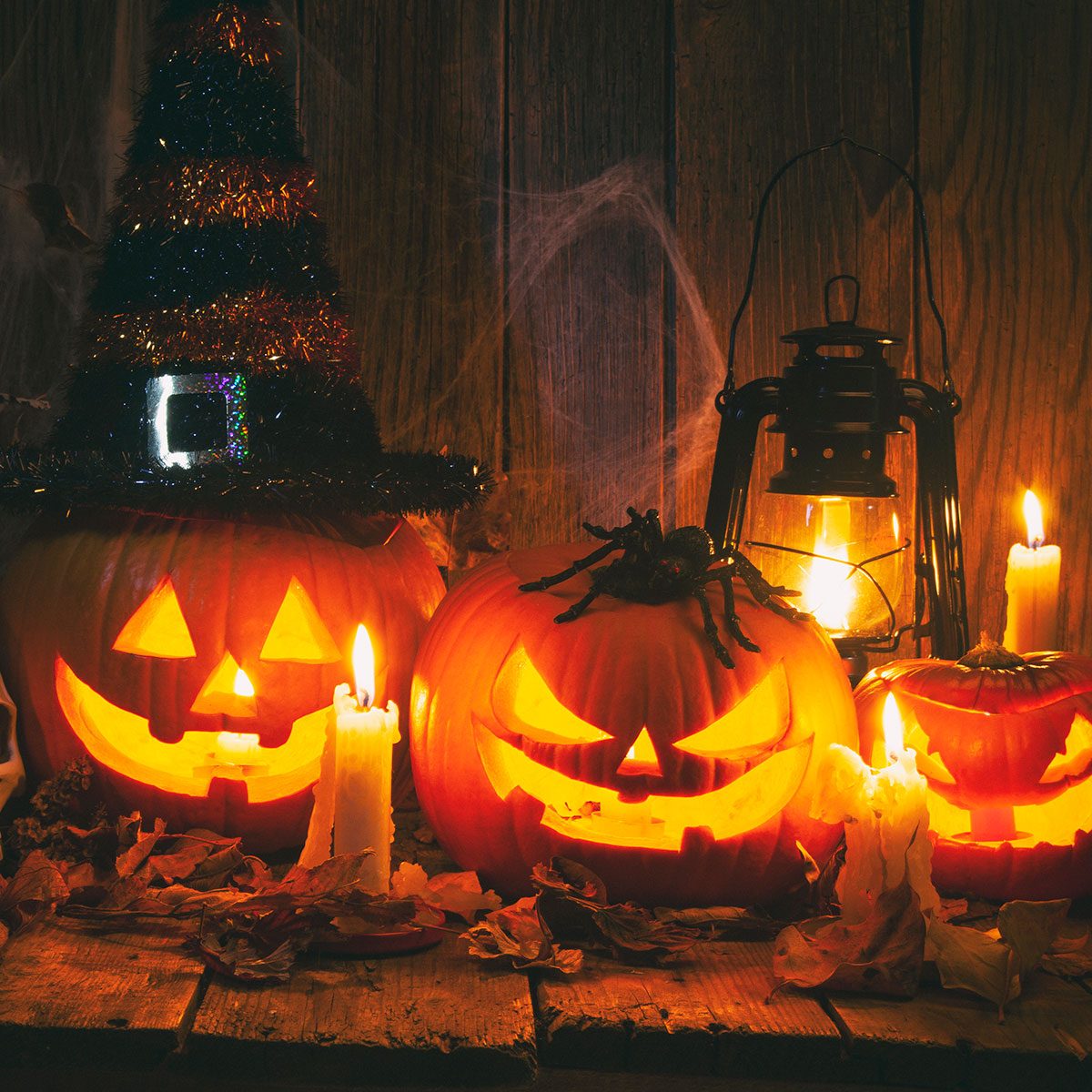 Halloween Jack-o-Lantern Pumpkins on rustic wooden background