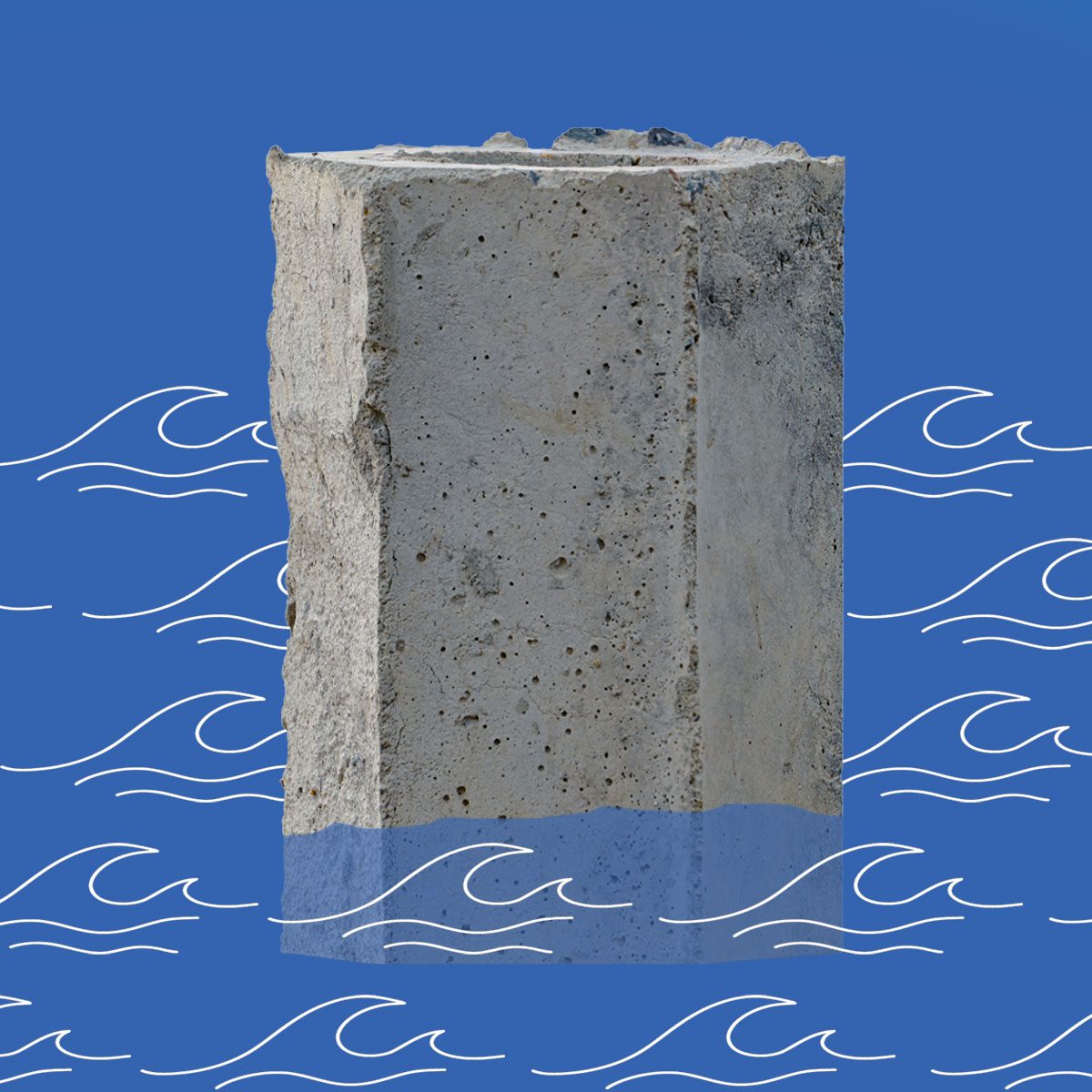 Scientists Use Mollusk Shell Secrets to Create Super-Strength Concrete