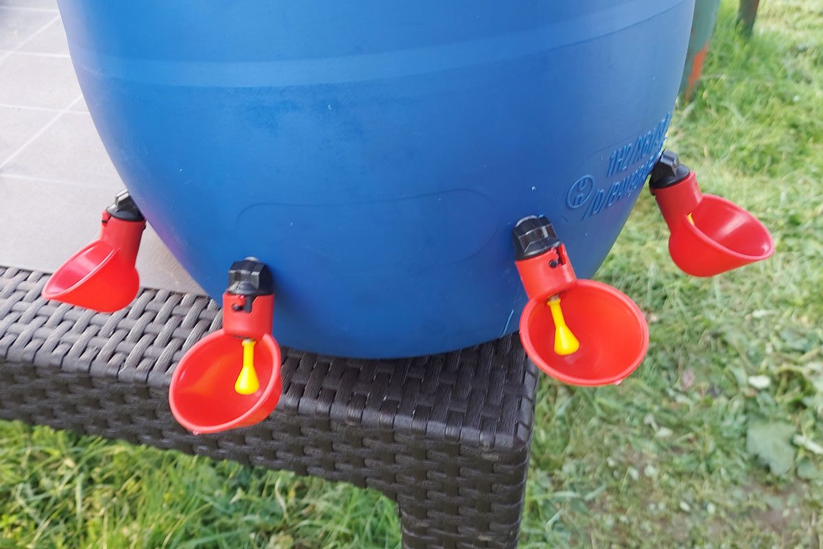 homemade chicken waterer