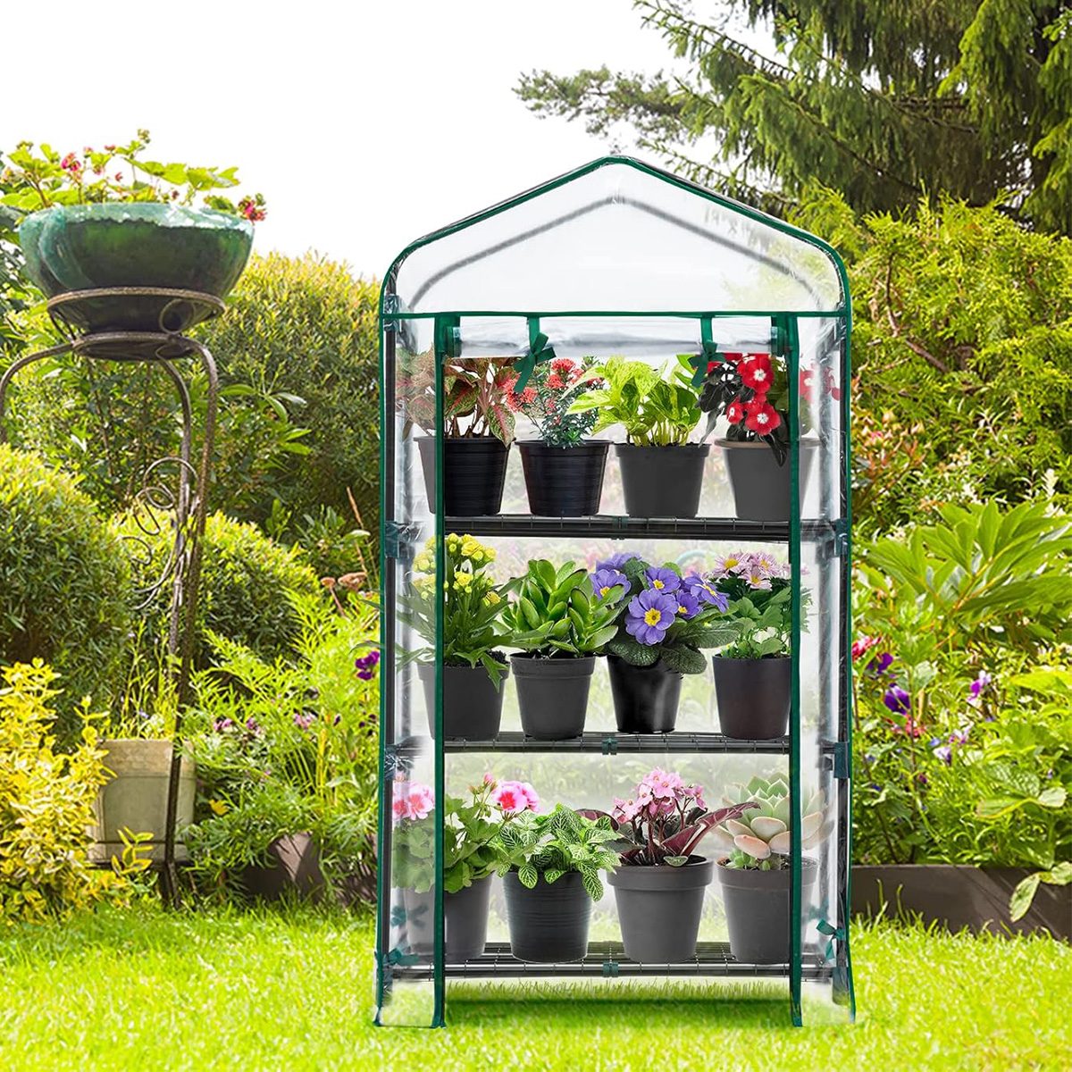 6 Best Portable Greenhouses to Conveniently Protect Plant Life