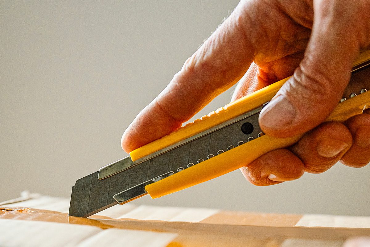 9 Dollar Tree Tools That Are The Ultimate Steal Gettyimages 2195092668